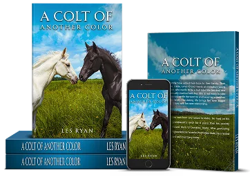 BooksLake publishing